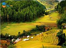 Tour Du Lịch Mai Châu 1 Ngày